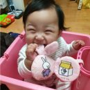 2020년 양천구 정인양 학대 사망 사건 - 동영상 모음 이미지