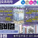 시티프라자약국 이미지