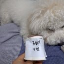 무한뽑기 이미지