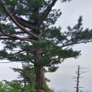 백무동주차장 이미지