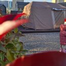 태학산 오토캠핑장 하부 화장실 | 🌊 부산 영도 마리노 오토캠핑장 리뷰