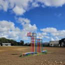 외갓집마당 영농조합법인 | 제주 올레길 11코스 도착, 12코스 시작점 무릉외갓집 카페 &amp; 혼울 게스트하우스