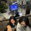 히히 그루밍 | 2025.03 꼬따오 DAY 1 | 이동 지옥을 견디면 맞이하는 천국