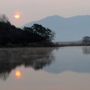 우포의 숲속 이미지