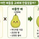 그린시스(Greensis)
