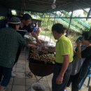 삼용농장 이미지