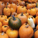 카림황제공인중개사사무소 이미지