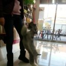 동래종합동물병원 이미지