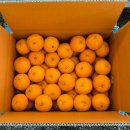 홍진농장 이미지