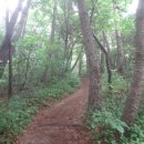 우산천 티스토리