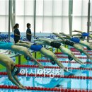 남부대국제수영장 이미지