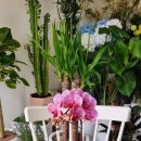 내성지구대 이미지