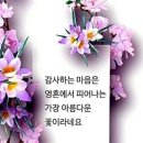 신서귀포 이미지