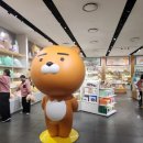 (주)강산 | 대구 신세계백화점 맛집 강산면옥 11월 10퍼센트 할인판매