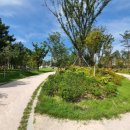 연제근 공원 이미지