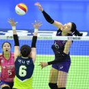 흥국생명 이미지