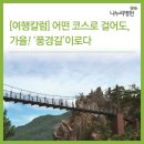 반기문꿈자람길 1구간 | 어떤 코스로 걸어도, 가을! ‘풍경길’이로다
