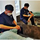 연세바른마취통증의학과의원 이미지