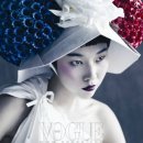 개냥이 세계 이미지