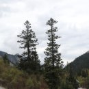 황룡산장 이미지