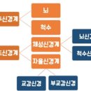 GYM609 네이버블로그