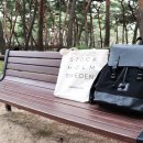 프로퍼디자인 이미지
