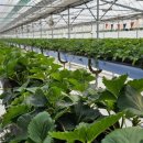 워낭농장 이미지