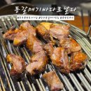 통갈매기바다로날다