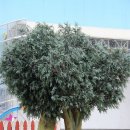 포니랜드 이미지