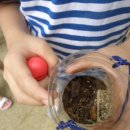 만천초등학교 병설유치원 이미지