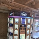 소노펠리체 델피노 이미지