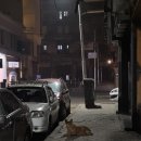 (주)맨투맨투어 | 12/24/25~01/04/26 이집트 여행기 2탄 :: 바하리야 사막 (feat. 모마투어)