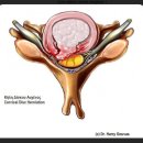 곰한의원 이미지