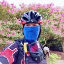 고남농장 이미지