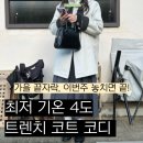 데일리-룩 | 최저 기온 4도 트렌치 코트 괜찮을까? 11월 데일리룩 후기