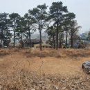 LBA강화공인중개사사무소 이미지