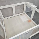 보드레 애견미용실 이미지