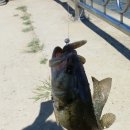 내저선착장 이미지