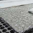 추계농장 이미지