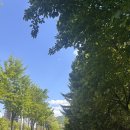개포2-103 | 강남 개포동 미용실 아이디헤어 개포자이스퀘어점 후기｜오주아 클리닉 솔직 리뷰