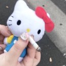 제주지네