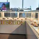 펫라운지(PET LOUNGE) 이미지