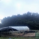 수암농장2 이미지