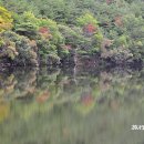 [경북/청송] 가을로 가는 주산지를 담다. 이미지