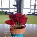 종이사랑 이미지