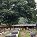 만세동농장 네이버블로그