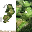 오렌지 클럽 이미지