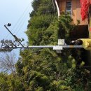 자동음성통보 이미지