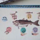 거진활어회센터 이미지