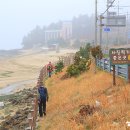 조개체험장  대죽 이미지